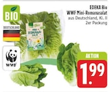 WWF Mini-Romanasalat im aktuellen Prospekt bei EDEKA in Wilthen