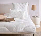 Sommerbett Angebote von Sleeptex bei XXXLutz Möbelhäuser Heinsberg für 39,99 €