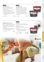 bauwelt Delmes Heitmann Wandfarbe im Prospekt bauwelt Delmes Heitmann Wandfarbe im Prospekt