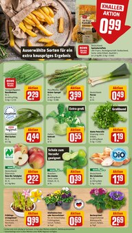 Spargel im REWE Prospekt "Dein Markt" mit 18 Seiten (Erlangen)