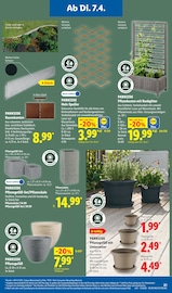 Blumentopf im Lidl Prospekt in Freiberg Aktueller Lidl Prospekt mit Blumentopf, "LIDL LOHNT SICH", Seite 33