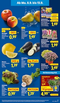 Pflanzen im Lidl Prospekt "LIDL LOHNT SICH" mit 67 Seiten (Bielefeld)