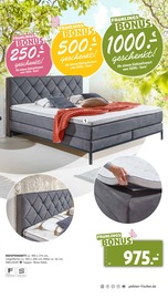 Aktueller Polstermöbel Fischer Prospekt mit Bett, "FRÜHLINGS-BONUS", Seite 29