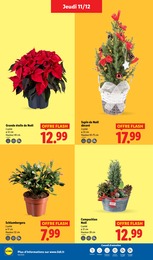 Prix et réduction Plante D'intérieur dans le prospectus Lidl en cours Offre Plante D'intérieur dans le catalogue Lidl du moment à la page 42