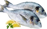 Dorade Royal im Angebot bei REWE in Braunschweig Dorade Royal Angebote bei REWE Braunschweig für 1,59 €