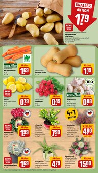 Fleisch im aktuellen REWE Prospekt (Magdeburg) Fleisch im REWE Prospekt "Dein Markt" mit 30 Seiten (Magdeburg)