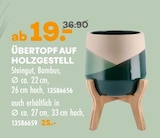 Übertopf auf Holzgestell Angebote bei Möbel Kraft Dresden für 19,00 €