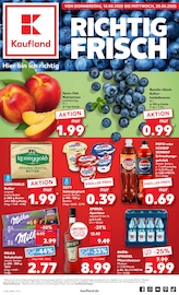 Aktueller Kaufland Supermarkt Prospekt in Sontra und Umgebung, "Aktuelle Angebote" mit 64 Seiten, 14.08.2025 - 20.08.2025