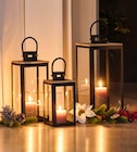 Sonderpreis Baumarkt Bleicherode - Laternen-Set Angebot im Prospekt Laternen-Set bei Sonderpreis Baumarkt im Bleicherode Prospekt für 24,95 €