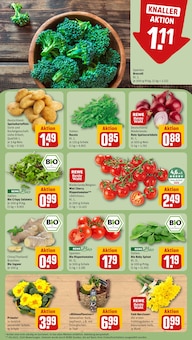 Kartoffeln im REWE Prospekt "Dein Markt" mit 16 Seiten (Mannheim)