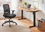 Schreibtisch Ecomo von NowyStyl im aktuellen Segmüller Prospekt für 79,99 €