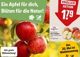 Rote Tafeläpfel Angebote von REWE Regional bei REWE Siegburg für 1,79 €