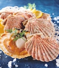 Promo Coquilles Saint-Jacques à 5,99 € dans le catalogue Auchan Supermarché à Vézeronce-Curtin