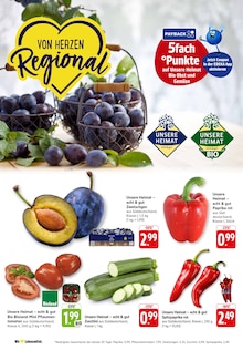 EDEKA Tamm Prospekt der aktuellen Woche, gültig von 04.08.2025 bis 09.08.2025 Aktueller EDEKA Tamm Prospekt "Aktuelle Angebote" mit 43 Seiten