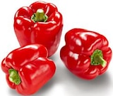 Aktuelle Paprika Angebote bei Metro in Moers Aktuelles Paprika rot Angebot bei Metro in Moers ab 1,70 €