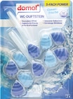 WC-Duftsteine 5-fach Power von Domol für 1,59 € bei Rossmann im Angebot WC-Duftsteine 5-fach Power von Domol im aktuellen Rossmann Prospekt