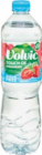 Tee im Angebot bei Netto Marken-Discount in Nürtingen Tee Angebote von Volvic bei Netto Marken-Discount Nürtingen für 0,88 €