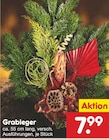 Grableger Angebote bei Netto Marken-Discount Norderstedt für 7,99 €