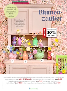 Blumen im Moubis Pflanzenhof Prospekt "Bring Schwung in dein Zuhause" mit 29 Seiten (Münster)