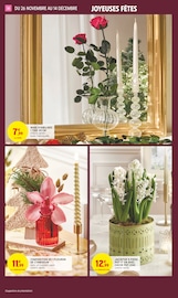 Plante Verte Angebote im Prospekt "SPÉCIAL CADEAUX" von Intermarché Hyper Plante Verte Angebote im Prospekt "SPÉCIAL CADEAUX" von Intermarché Hyper auf Seite 30