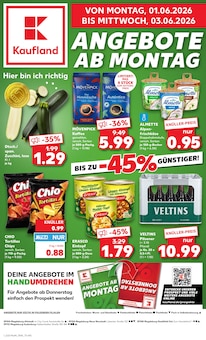 Paprika im Kaufland Prospekt "Hier bin ich richtig" mit 69 Seiten (Magdeburg)