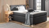 BOXSPRINGBETT „MALI NEW“ Angebote bei mömax Halle für 444,00 €