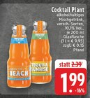 Cocktail Plant im Angebot bei E center in Solingen Cocktail Plant Angebote bei E center Solingen für 1,99 €