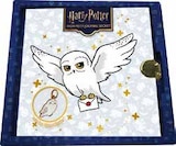 Harry potter journal hedwige bijou - PLAYBAC - Fnac Harry potter journal hedwige bijou - PLAYBAC à 12,90 € dans le catalogue Fnac