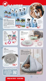 Lamm im Zookauf Prospekt "ALLES BEREIT FÜR EUREN FRÜHLING" mit 12 Seiten (Leverkusen)