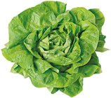 Aktuelle Gemüse Angebote bei REWE in Bonn Aktuelles Kopfsalat Angebot bei REWE in Bonn ab 1,00 €