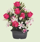 Centrakor - LA JARDINIÈRE DE ROSES ET ORCHIDÉES : offre du catalogue Promo LA JARDINIÈRE DE ROSES ET ORCHIDÉES à 8,99 € dans le catalogue Centrakor "TOUSSAINT"