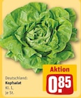 Kopfsalat im Angebot bei REWE in Saarlouis Kopfsalat Angebote bei REWE Saarlouis für 0,85 €