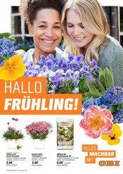 Aktueller OBI Prospekt mit Gartenpflanzen, "HALLO FRÜHLING!", Seite 1