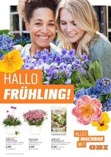 Gartenbepflanzung im OBI Prospekt "HALLO FRÜHLING!" mit 20 Seiten (Augsburg)