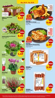 Wiener Würstchen im aktuellen Penny Prospekt (Essen) Wiener Würstchen im Penny Prospekt "Wer günstig will, muss Penny." mit 34 Seiten (Essen)