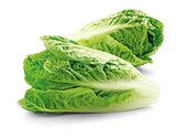 Bio Romana Salatherzen im Angebot bei REWE in Offenbach Bio Romana Salatherzen Angebote von REWE Bio bei REWE Offenbach für 1,49 €