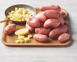 Pomme de terre de consommation à chair ferme à Bi1 dans Chevagnes