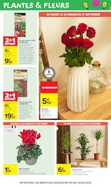 Promos Plante Verte dans le catalogue "LE MOIS MONOPOLY" de Carrefour Market Plante Verte en promo dans le catalogue Carrefour Market à la page 50