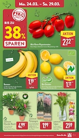 Aktueller ALDI Nord Prospekt mit Tulpen, "Aktuelle Angebote", Seite 3