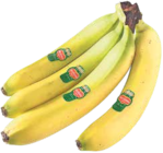 Aktuelles Bio Bananen Angebot bei V-Markt in Augsburg ab 1,49 €