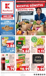 Aktueller Kaufland Supermärkte Prospekt für Schnega: Aktuelle Angebote mit 52} Seiten, 11.04.2024 - 17.04.2024