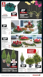 Kerzen Angebot im aktuellen toom Baumarkt Prospekt auf Seite 3