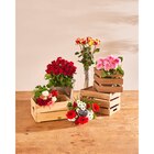 Bouquet de 7 roses - CRF en promo chez Carrefour Bouquet de 7 roses - CRF dans le catalogue Carrefour
