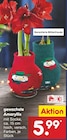 Aktuelles Gewachste Amaryllis Angebot bei Netto Marken-Discount in Braunschweig ab 5,99 €