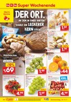 Feuerwerkskörper Feuerwerkskörper