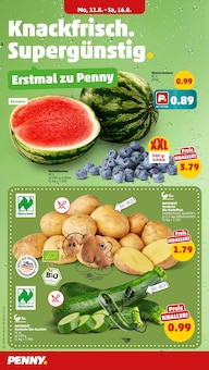Obst im Penny Prospekt "Wer günstig will, muss Penny." mit 36 Seiten (Düsseldorf)