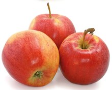 Niederlande Tafeläpfel bei K+K - Klaas & Kock in Gelsenkirchen Niederlande Tafeläpfel im Angebot bei K+K - Klaas & Kock Gelsenkirchen für 1,79 €