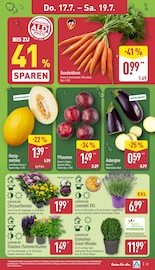 Stauden im ALDI Nord Prospekt in Eberswalde Aktueller ALDI Nord Prospekt mit Stauden, "Aktuelle Angebote", Seite 27