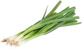 Lauchzwiebeln im Angebot bei REWE in Fürth Lauchzwiebeln Angebote bei REWE Fürth für 0,55 €