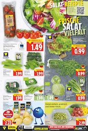 Staudensellerie Angebot & Preis im aktuellen E center Prospekt Staudensellerie Angebot im aktuellen E center Prospekt auf Seite 3